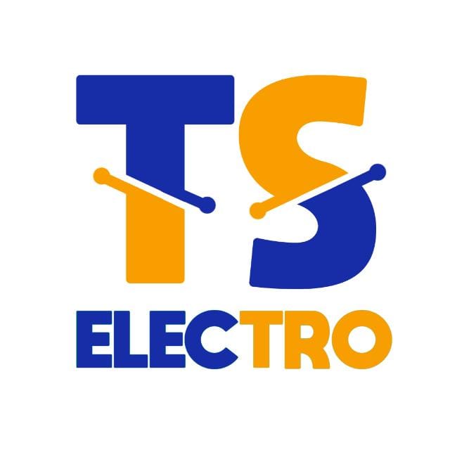 TS Electro logo